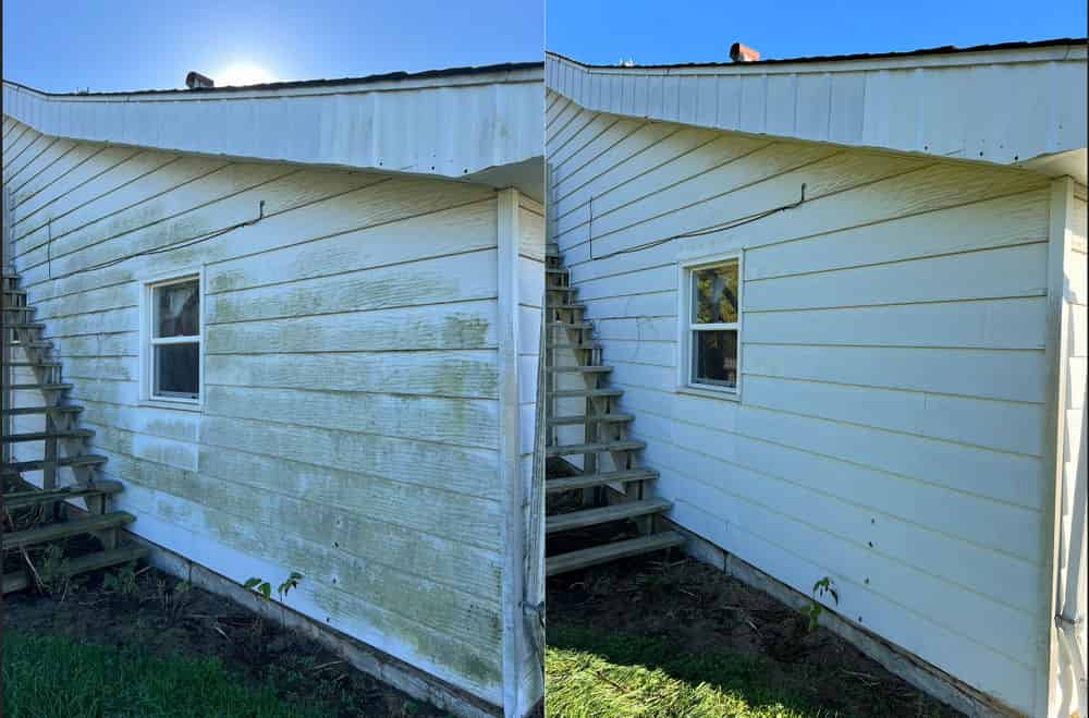 Mold, Mildew, and Algae Removal image
