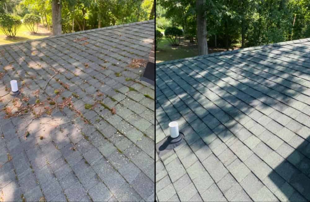 Roof Cleaning image